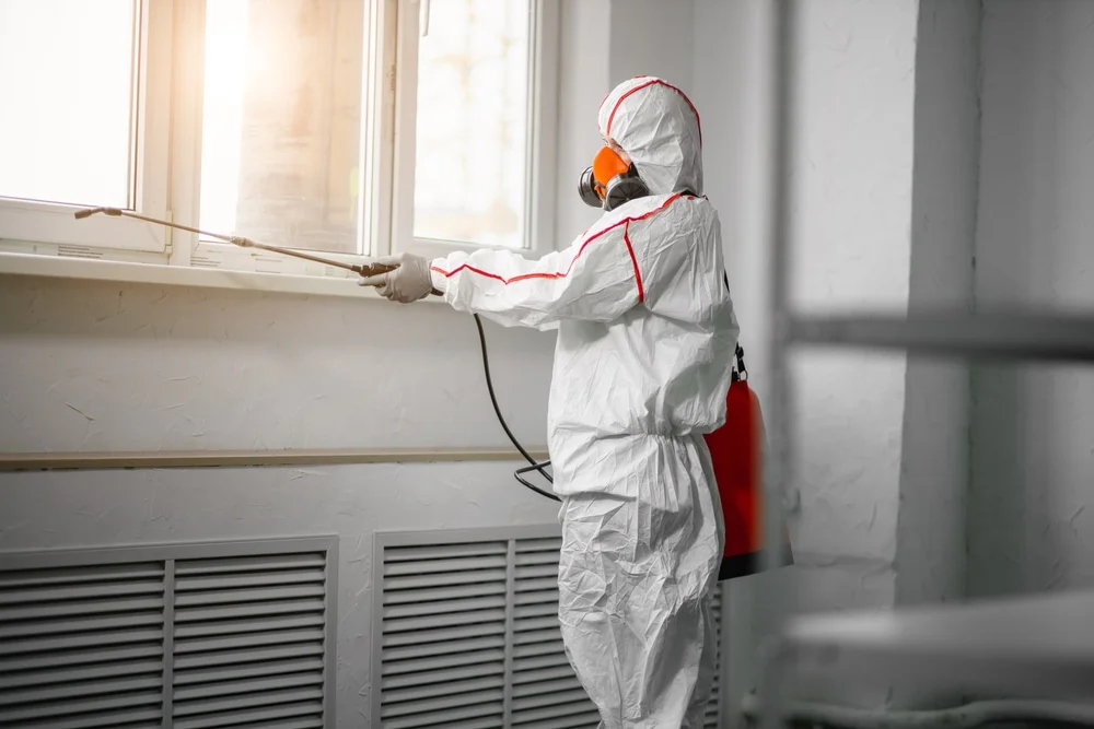 Professional mold remediation services in Kempner, TX